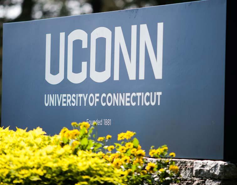 UCONN STORRS Office of the Vice President for Research 438 Whitney Road Extension, Unit 1006 Storrs, CT 06269-1006 (860) 486-3619 UCONN HEALTH