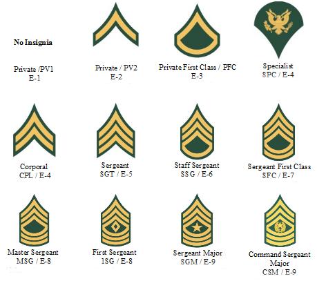 E. Rank Structure Enlisted Ranks Officer Ranks