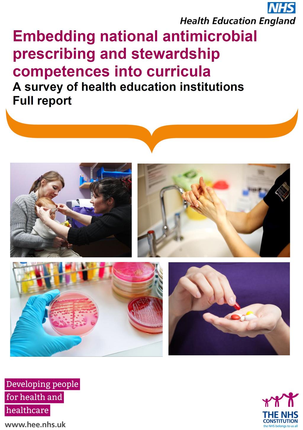 Embedding competencies into curricula Survey of HEIs sent through HEE local offices to health education institutions: medicine, adult nursing, dentistry, pharmacy, midwifery, AHPs and independent