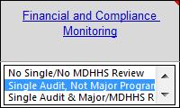 Risk Assessment Tool Financial and Compliance Monitoring Grantees not audited or subjected to an MDHHS monitoring review are typically higher risk than those