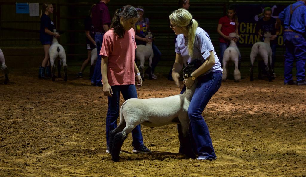 Livestock Ambassadors Through an application process, 50 youth are chosen to participate in rigorous college-level animal science curriculum.