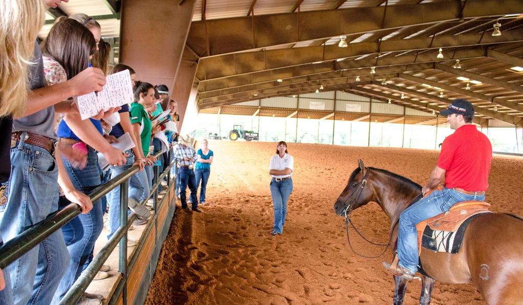 Education Equine Ambassadors The Texas 4-H Equine Ambassador Program is helping create a new generation of equine industry professionals.