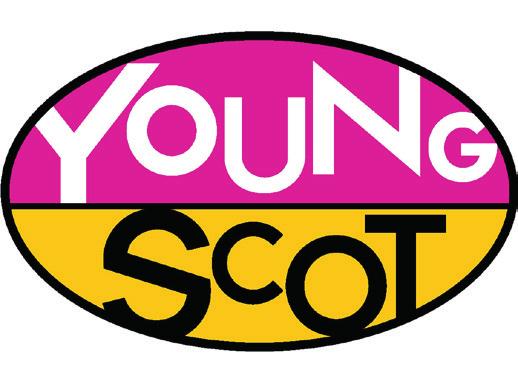 3 SCOT YOUNG STAKEHOLDER TOOLKIT We have teamed up with Young Scot again this year to set up a more enhanced rewards incentive system.