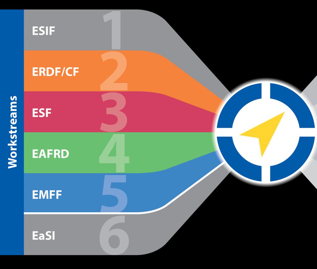 How is fi-compass delivery structured?