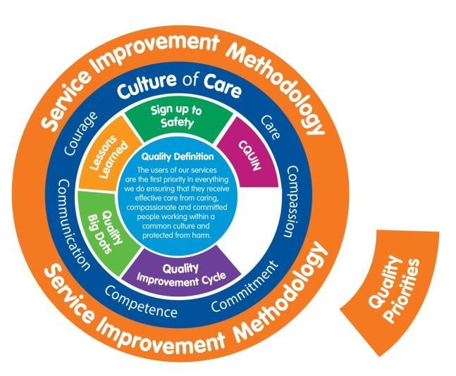 Measurable, Achievable, Realistic and Timed (SMART) The Trust will develop mechanisms to monitor care plans/statements of care for effectiveness.
