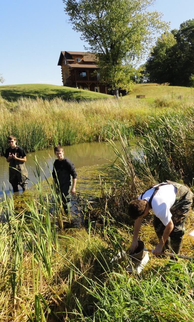 On-the-Ground Restoration Restore and/or create wetlands, coastal or riparian areas Address key species and habitats Link directly to established watershed and conservation