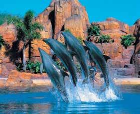 Movie World and Wet n Wild Gold Coast $500 credit for food and beverage at Sea World Resort & Water Park.