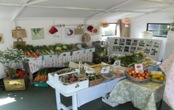 18 Community Times HSE CHO Area 2 (Galway / Mayo / Roscommon) e-newsletter Successful summer sales at Galway and Mayo Training Centre Gardens The Organic Market at the HSE Rural Training Centre
