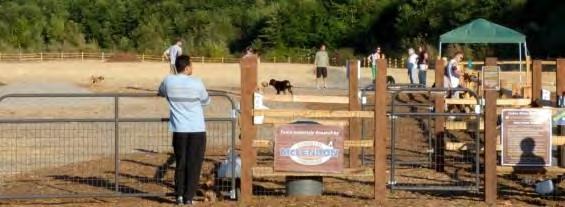 RCF helps emerging charitable groups get on their feet. When a group of citizens banded together to bring the first off-leash dog park to Renton, they realized they needed help.