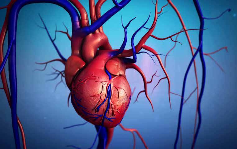 Exhibition on Cardiology and