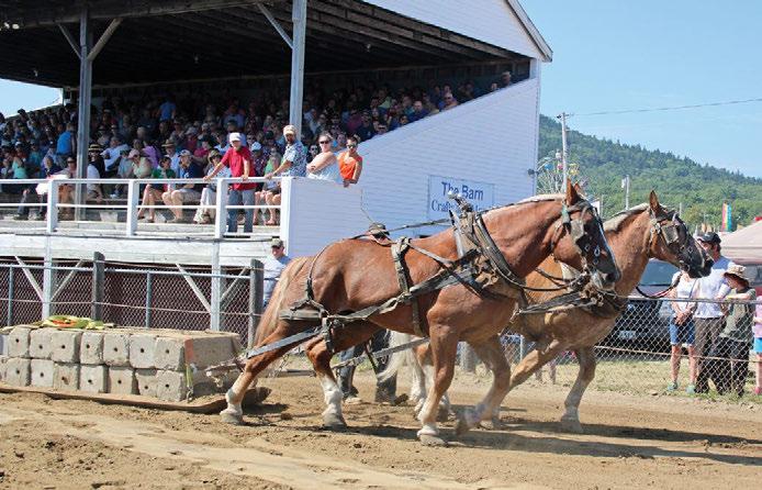 4 Blue Hill Fair Handbook pulling event begins, the 3300 Class Horse Pull. At 7:30 p.m. rock out to the local band The Fox & the Hound. What to do Friday, September 1 Gates open at 8 a.m. Starting at 9 a.