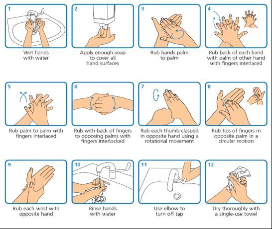 fingers, the thumbs and the areas between the fingers. Hands should be rinsed thoroughly prior to drying with paper towels 6.3.