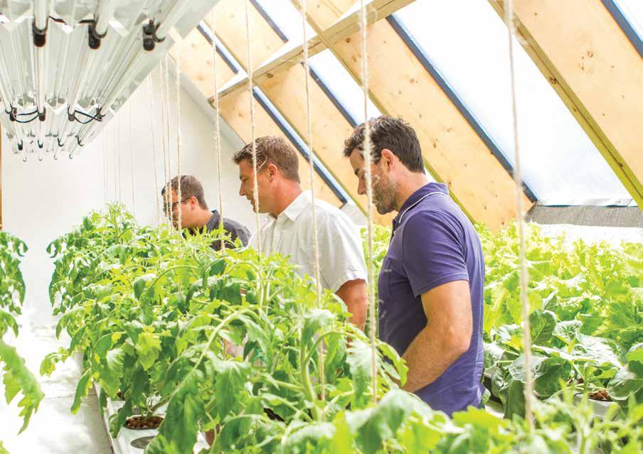 SUCCESS STORY ENERGY AND ENVIRONMENT Greenhouses Canada RETURN ON INNOVATION ROI Significant social and economic impacts including improved food security and creating local jobs Projects hiring 50+