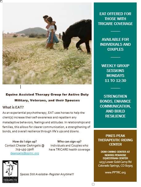 EQUINE ASSISTED THERAPY GROUP FOR AD