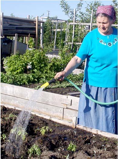 Are you specifically interested in a community food garden?