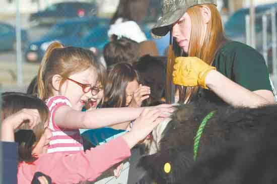 Students spent the week, dubbed Cowabunga Week, learning about farm animals and agriculture. We wanted the kids to have fun and help our school raise money, Lehman said.