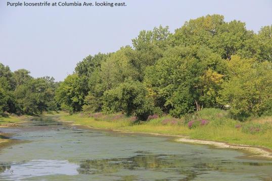 Grand Calumet Area of Concern Restoration $157,375 grant to The Nature