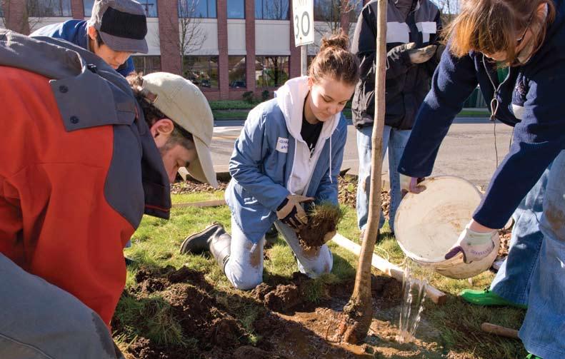Volunteerism: strengthening communities Planting trees increases the value of neighborhoods, intercepts pollutants and helps prevent stormwater from polluting rivers.