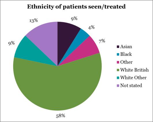 ii) Ethnicity Breakdown of ethnic group of patients seen/ treated between