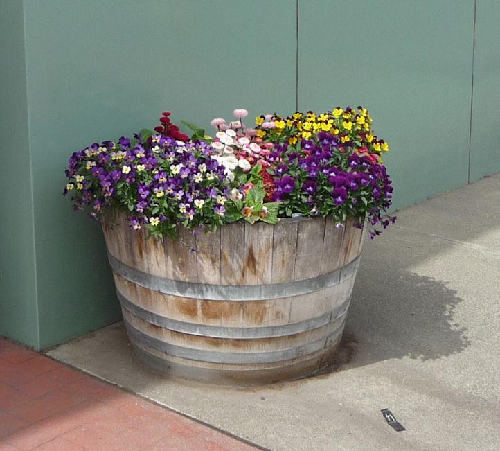 While the sidewalk widths and extended awnings make it problematic to create a network of street trees, flower pots and hanging baskets would provide an