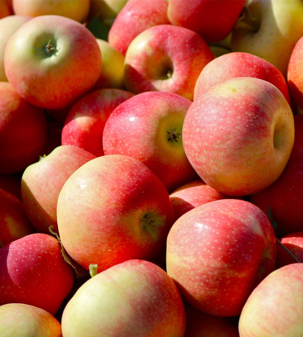 Community Harvests Estimated 32,000 pounds of apples and 4,000 pounds of peaches directed to hunger relief Will require