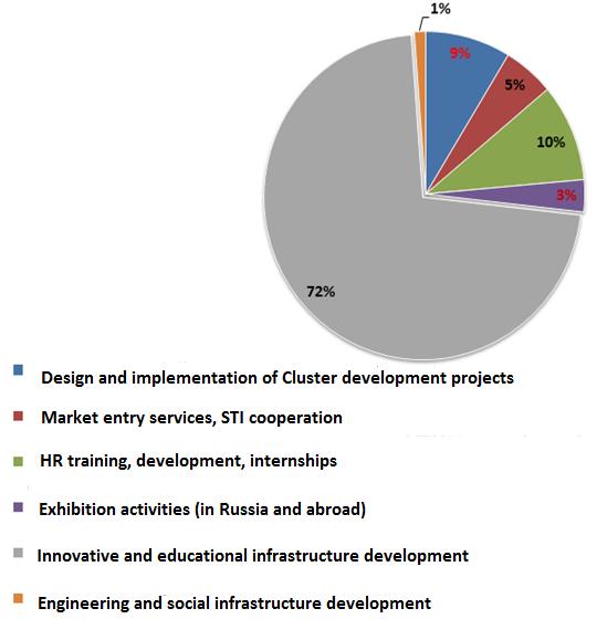 Support Areas of Pilot Innovative Clusters by the Ministry for Economic Development of Russia