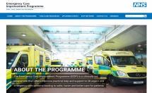 Some examples of current programmes to help trusts The