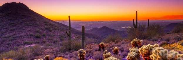 The rugged Sonoran Desert landscape, with the McDowell Mountains as a backdrop, provides a beautiful setting for explorations in arts and culture, outdoor adventures, savory cuisine, and