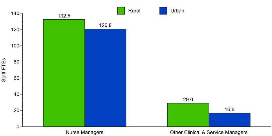 Figure 37. Statewide Number of Staff FTEs Employed by Type and Rural/Urban Status Clinical nurse managers are often difficult to recruit and retain.