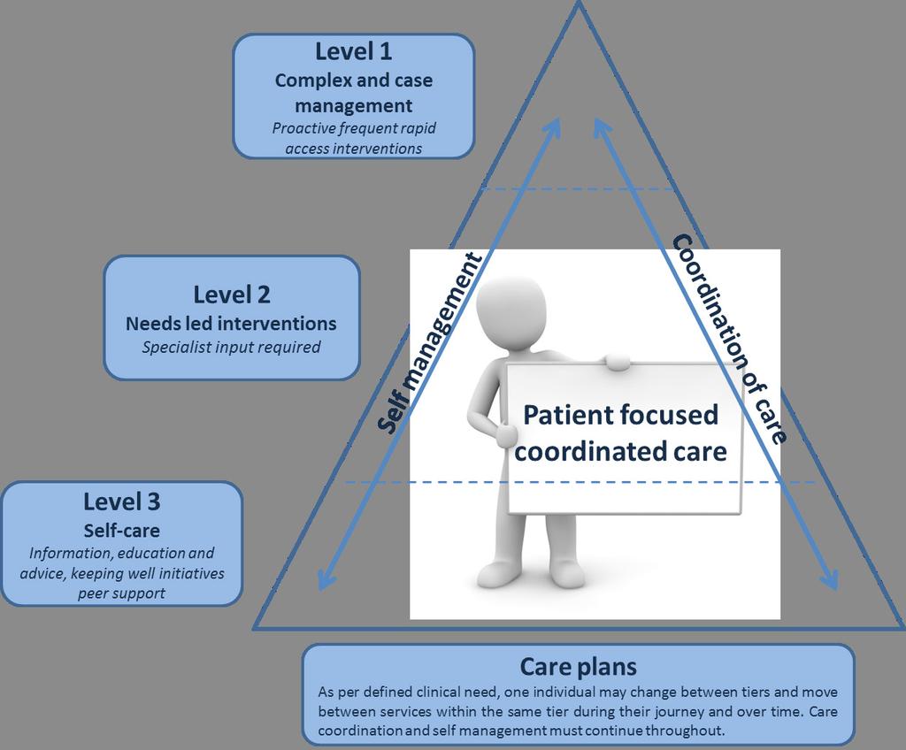 Model of care (Above): Model of care showing the patient at the centre