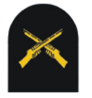 2. Specialist Badges Fig