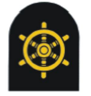 Military Police Badge Fig