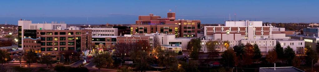 The Region s Pediatric Health System of Choice 367 beds 352,286 outpatient visits 191,500