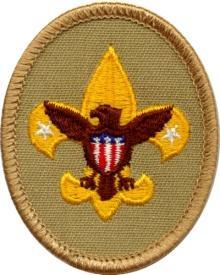 To Achieve the Eagle Scout