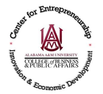 Agricultural & Mechanical University AAMU-RISE
