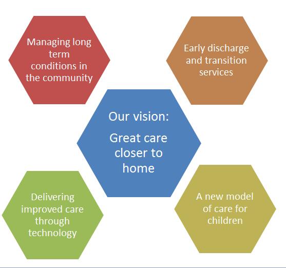 13. Clinical Service Planning In terms of taking the strategy forward, a number of service developments have been initiated by Clinical Divisions, they are: Managing long-term conditions in the