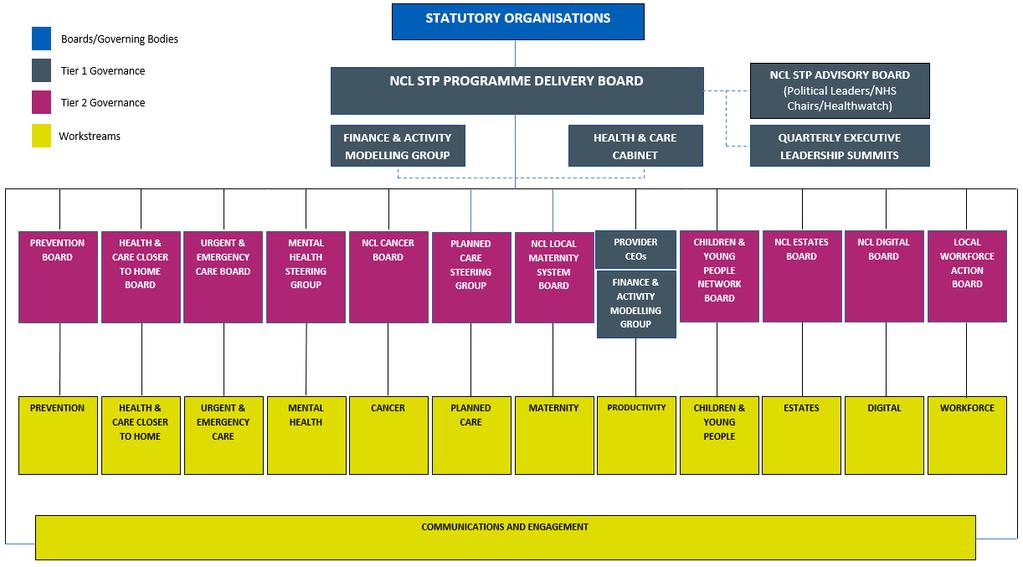 NLP Governance Structure The Adult Social Care