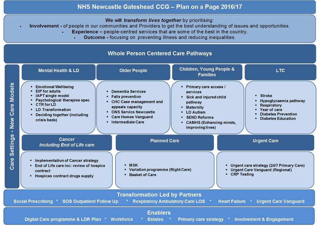 Appendix 1: CCG Plan