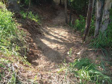 Volunteers used this grant to improve trail safety.