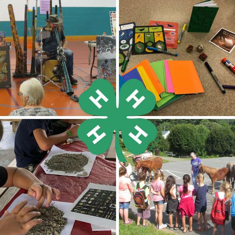 4-H A new partnership A collaboration of programming between youth and adult services During the summer