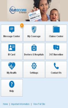 Hospital Health Care 101 Shop for Insurance Log in or register for Blue Access for Members Contact Us Text Messaging Static One-Way