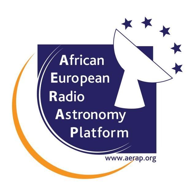 African-European Radio Astronomy Platform - Progress Report Presented by Declan