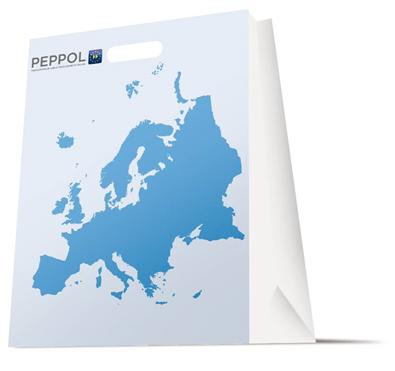 OpenPEPPOL Guidance on the Connecting Europe Facility (CEF) 2015 CEF Telecom Calls for Proposals for einvoicing and edelivery This document was