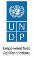United Nations Development Programme Terms of Reference Post Title: TICAD Private Sector Consultant Post Level: Individual Contract Duty Station: Tokyo, Japan Organizational Unit: UNDP Tokyo, BERA