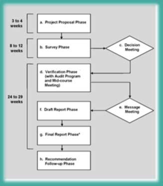 OIG Audit Process Systematic and Methodical Audit Process 10 month goal for completing draft audit reports.