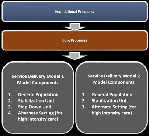 The Model Components are the specific units/care settings within the two Service Delivery Models that provide services to female inmates with Major Mental Illness.