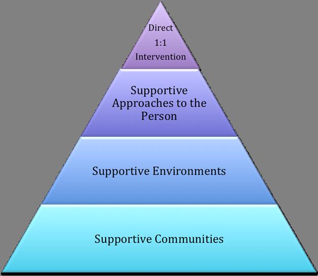 A community-wide approach to Positive Behaviour Support The diagram below demonstrates how Positive Behaviour Support should work on different levels.