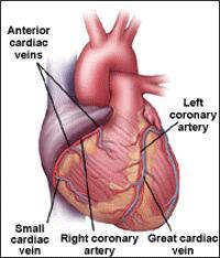 started Heart Rx: aspirin, beta blockers, etc