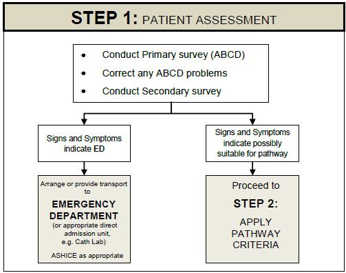 4. PROCESS 4.0 The following section provides detail around the process of identification of a suitable pathway and the steps to achieving the right outcome for the patient.