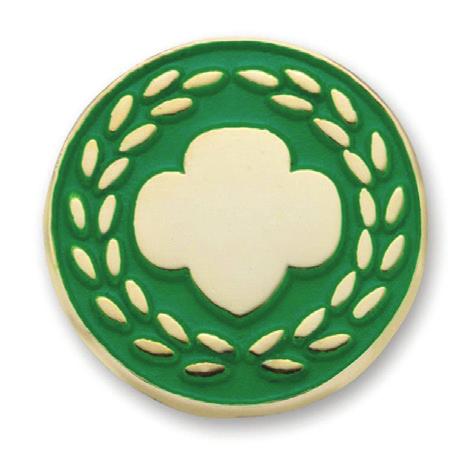 GSUSA Adult Awards - Appreciation Pin (2 letters of endorsement) The Appreciation Pin recognizes an individual s exemplary service in support of delivering the Girl Scout Leadership Experience.